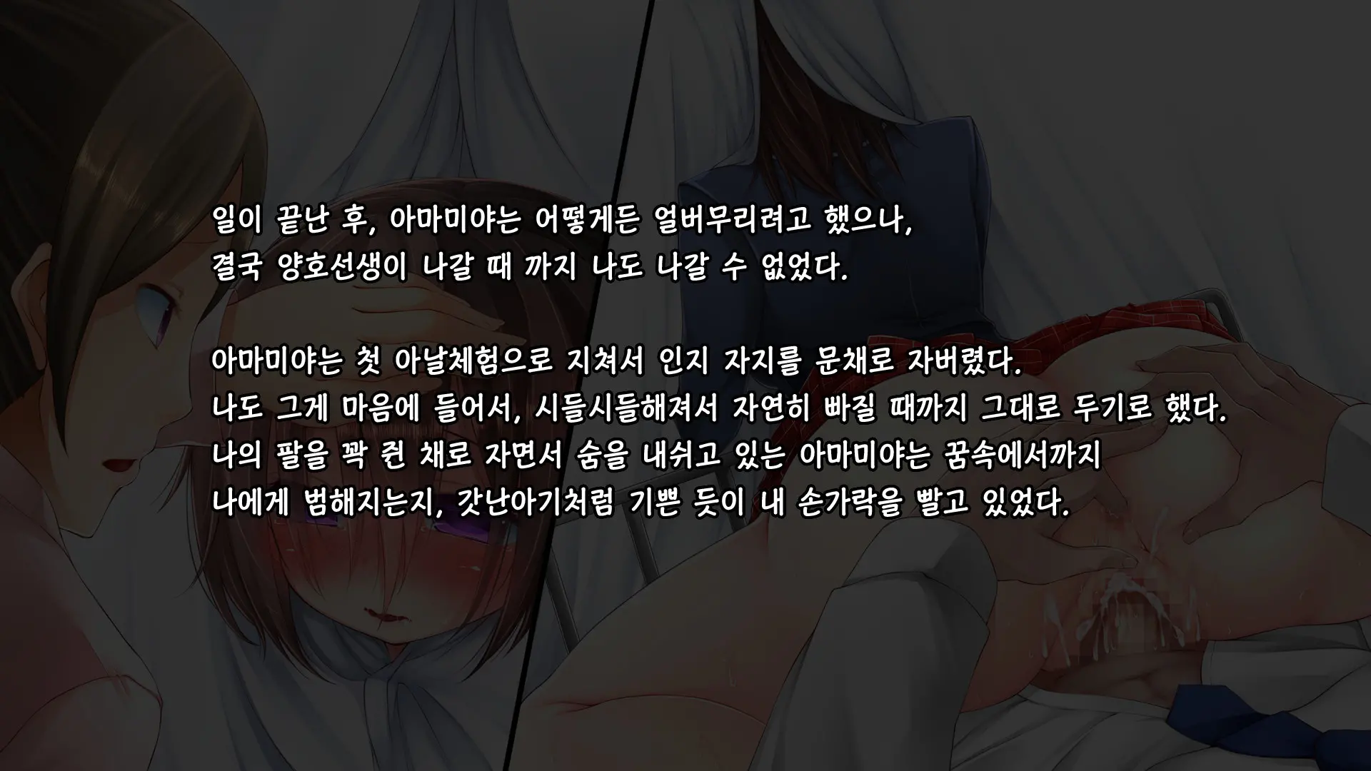 Tadashii Kanojo (Pet) No Kaikata